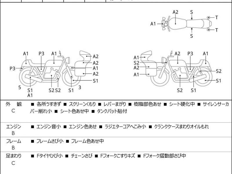 Kawasaki Ninja 250R