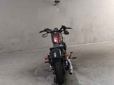 Harley-Davidson Sportster Forty-Eight XL1200X 2014