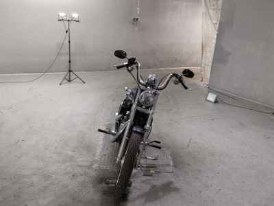 Harley-Davidson XL1200V 2013