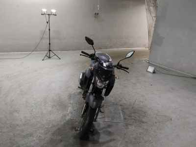 Yamaha FZ25 2017