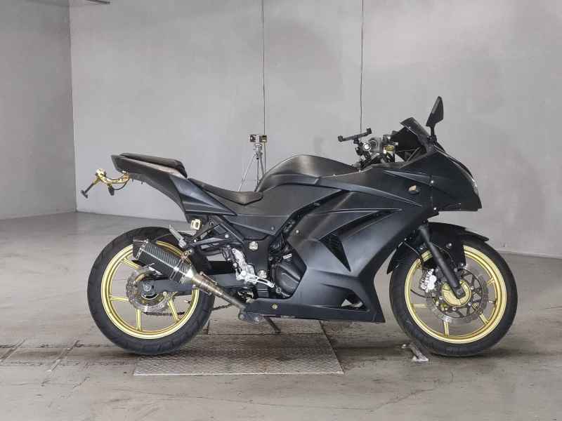 Kawasaki Ninja 250R