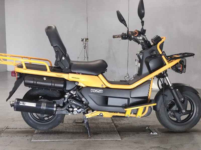 Honda PS250 Big Ruckus
