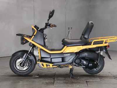 Honda PS250 Big Ruckus
