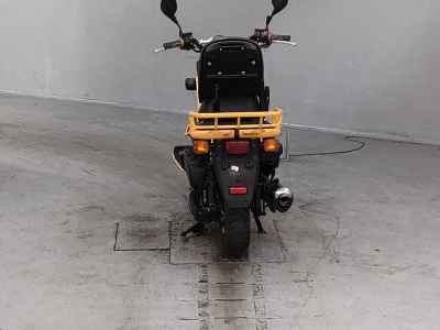Honda PS250 Big Ruckus