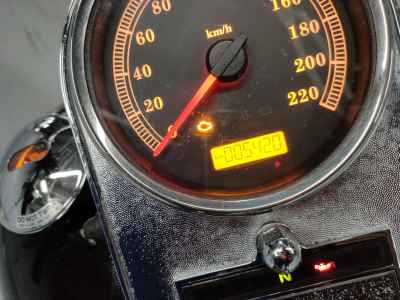 Harley-Davidson FLSTSC1450 2005