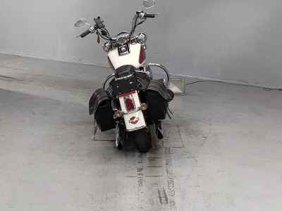 Harley-Davidson Deluxe FLSTN1580 2007