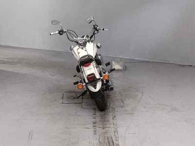 Yamaha XVS250 Drag Star