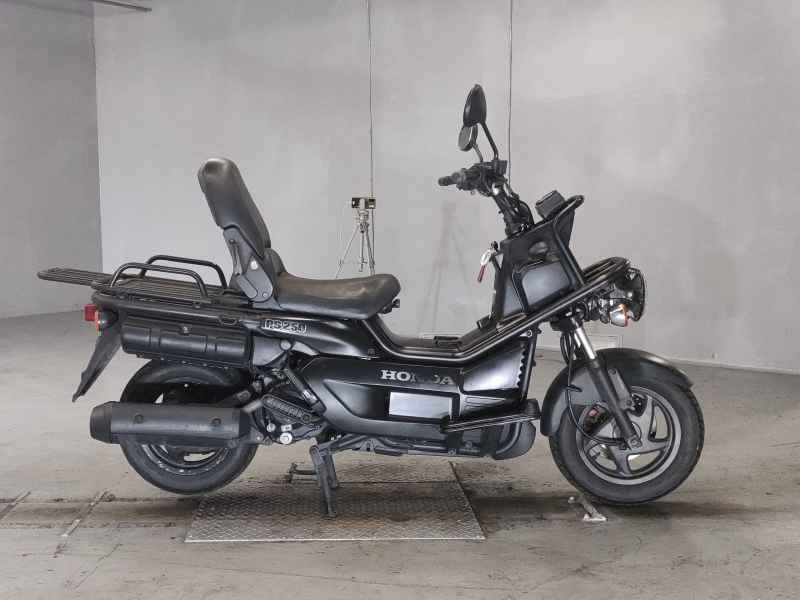 Honda PS250 Big Ruckus
