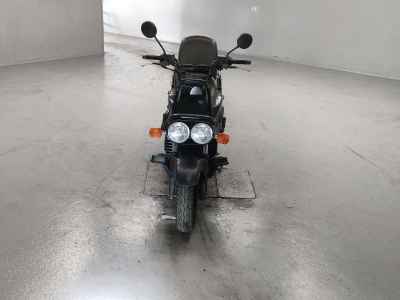 Honda PS250 Big Ruckus