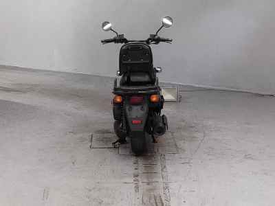 Honda PS250 Big Ruckus