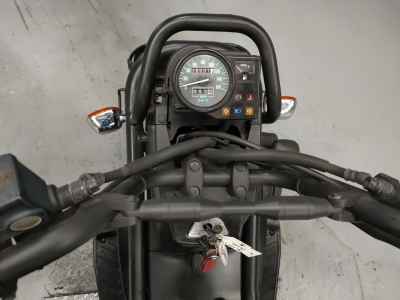 Honda PS250 Big Ruckus