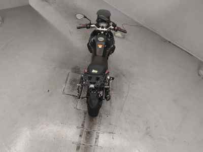 Benelli TRK251 2022
