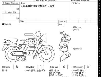 Kawasaki ZZR250