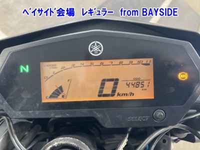 Yamaha FZ25 2019
