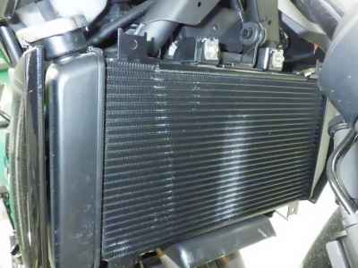 Kawasaki Z250 2023