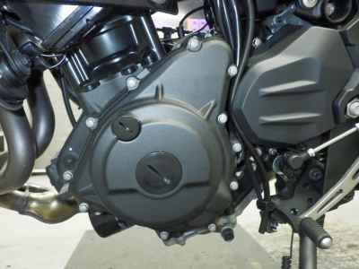 Kawasaki Z250 2023