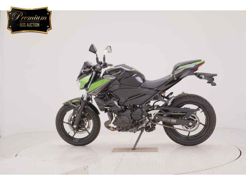 Kawasaki Z250 2023