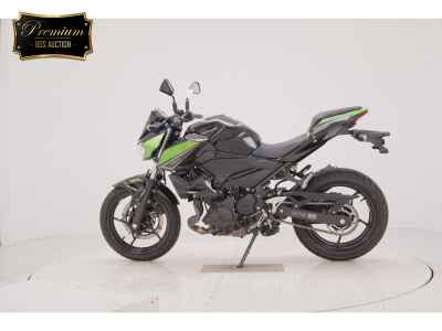 Kawasaki Z250 2023