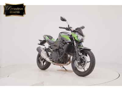 Kawasaki Z250 2023