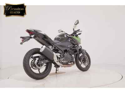 Kawasaki Z250 2023