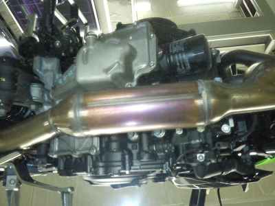 Kawasaki Z250 2023