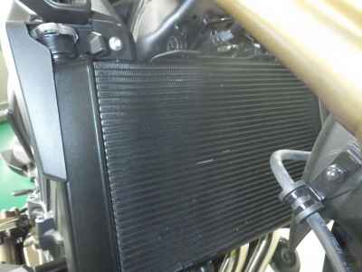 Honda CB650R E-Clutch 2024