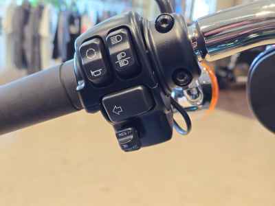 Harley-Davidson FXST 2022