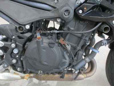 Kawasaki Z250 2019