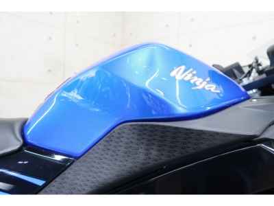 Kawasaki Ninja 250 2015