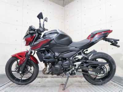 Kawasaki Z250 2019