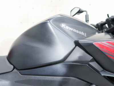 Kawasaki Z250 2019