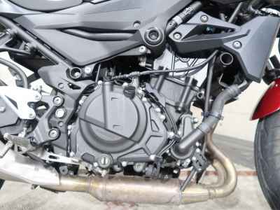 Kawasaki Z250 2019
