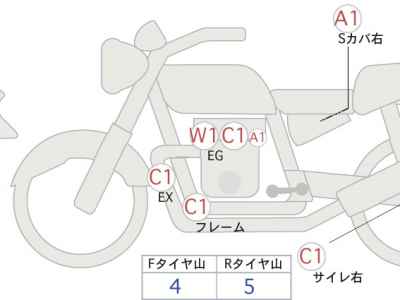 Kawasaki W800 2022