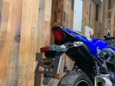 Suzuki GSX250R