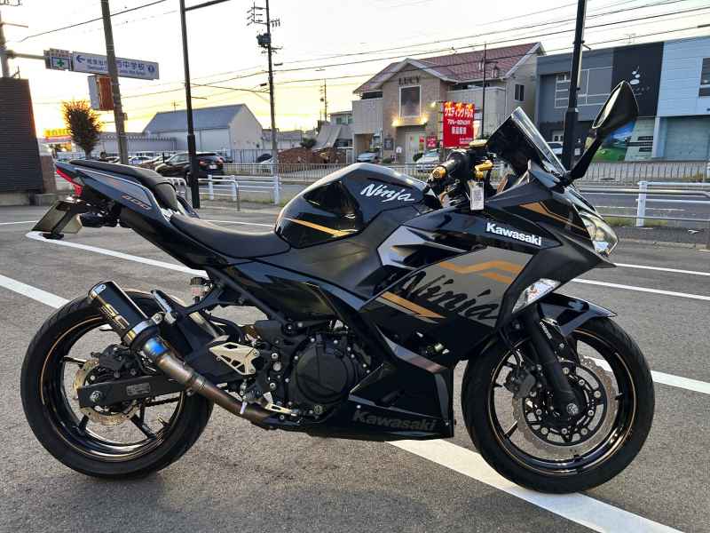 Kawasaki Ninja 400 2020
