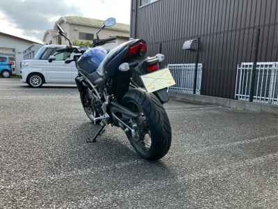 Suzuki SV650 2025