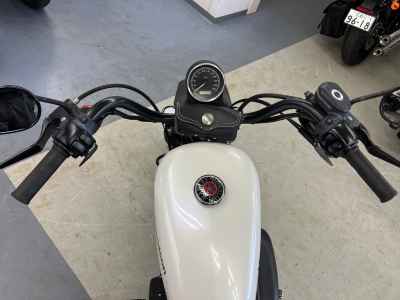 Harley-Davidson XL883N 2010