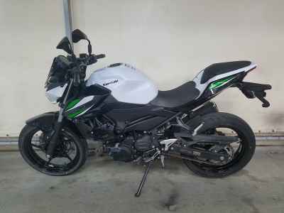 Kawasaki Z250 2019