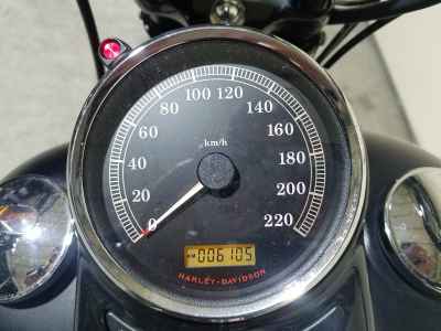 Harley-Davidson CROSS BONES FLSTSB1580 2010