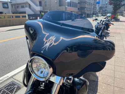 Harley-Davidson FORZA X 2013