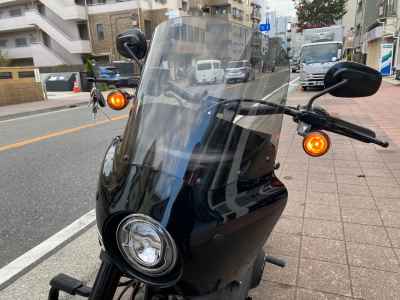 Harley-Davidson FXLRS 2021