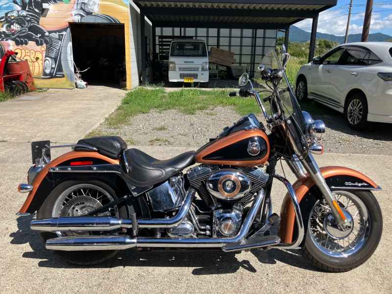 Harley-Davidson Heritage Special FLSTN 2007