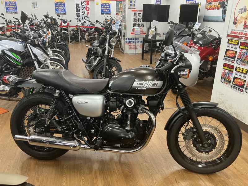 Kawasaki W800 2019