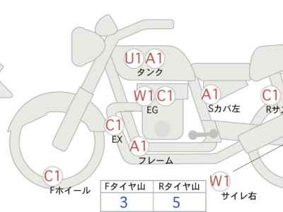 Kawasaki W800 2019