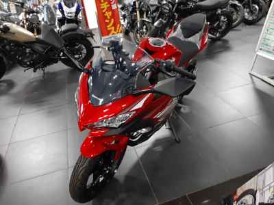 Kawasaki Ninja 250 2022