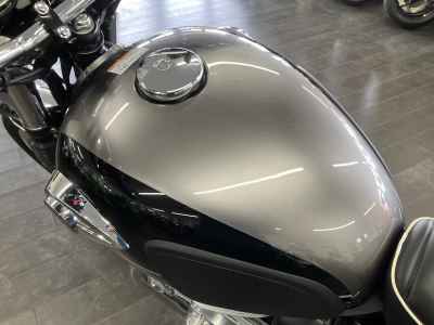 Kawasaki W800 2025