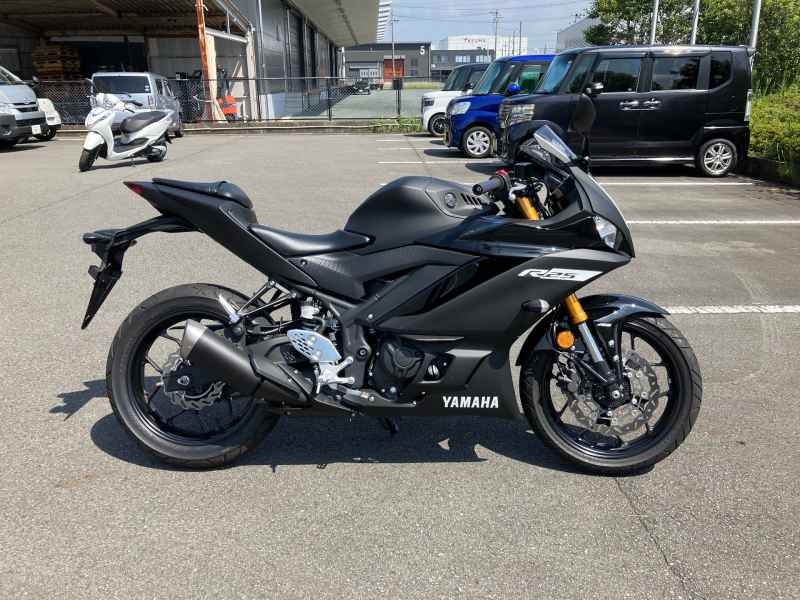 Yamaha YZF-R25 2019