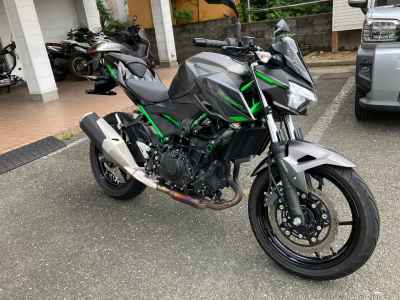 Kawasaki Z250 2024
