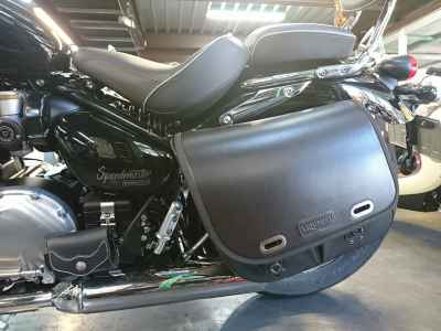 Triumph Speedmaster 2024