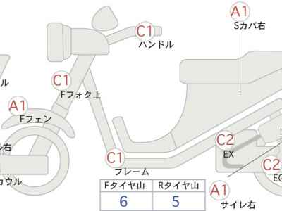 Honda Forza Z